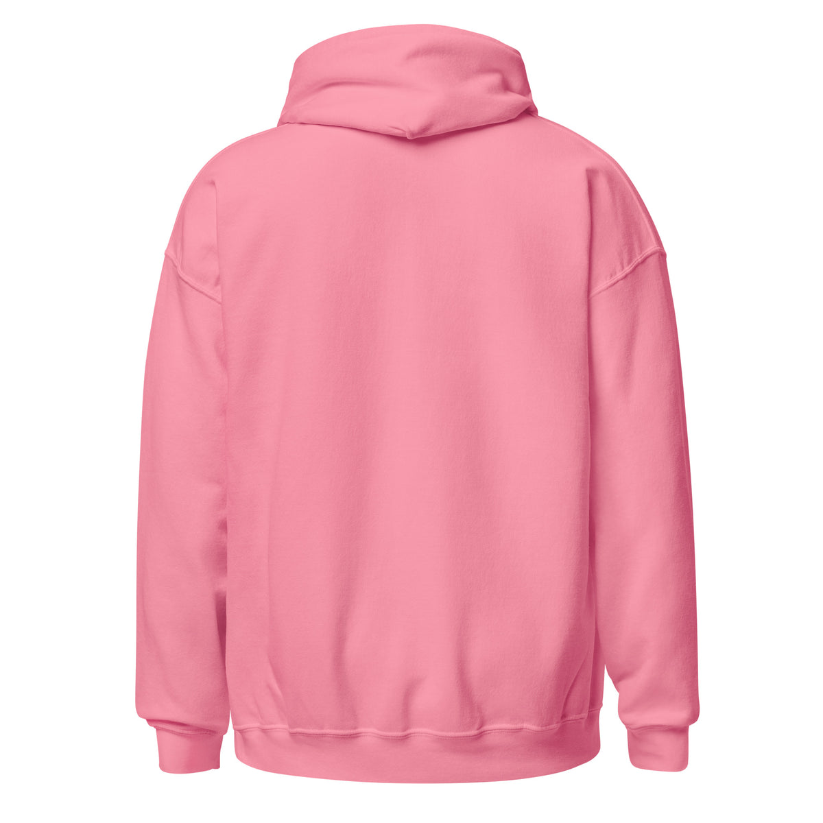 Sweat à capuche Planète B rose, vue de dos — Le Grand Merdier